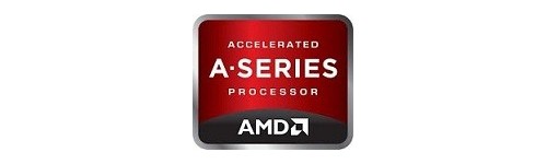 AMD Socket (FM2 / FM2+)
