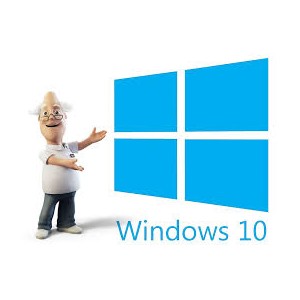 Windows 10 Professional OEM