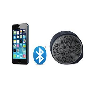Logitech Speaker X100