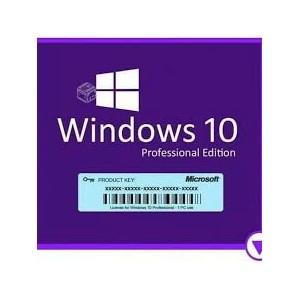 Windows 10 Pro Digital License